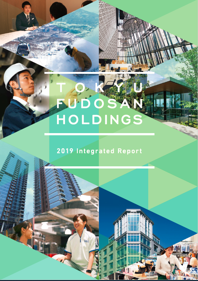 2019 Integrated Report