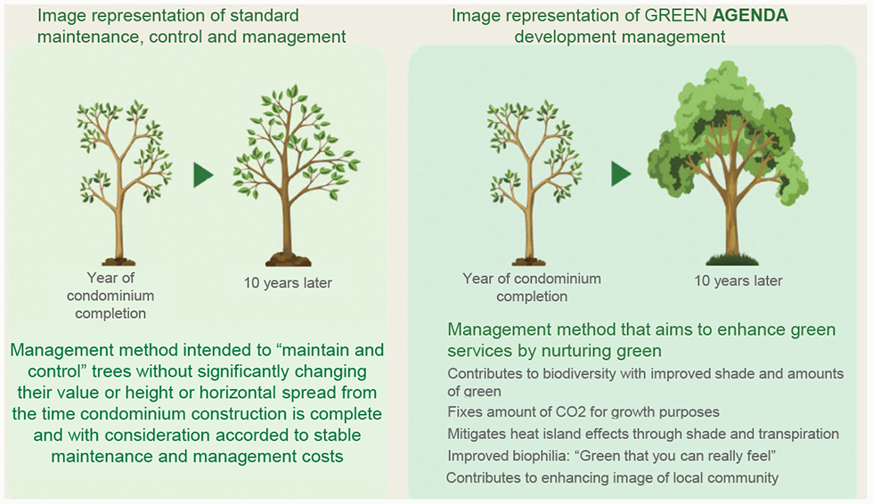 Image representation of GREEN AGENDA development management