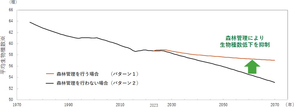 折れ線グラフが右肩下がりに減少しているが、森林管理を行う場合は減少を緩やかにすることができる。