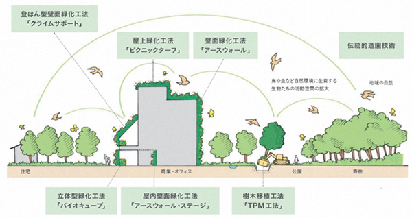 建物緑化の工法などをイラストにした図