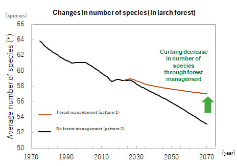 Changes in number of species (in larch forest)