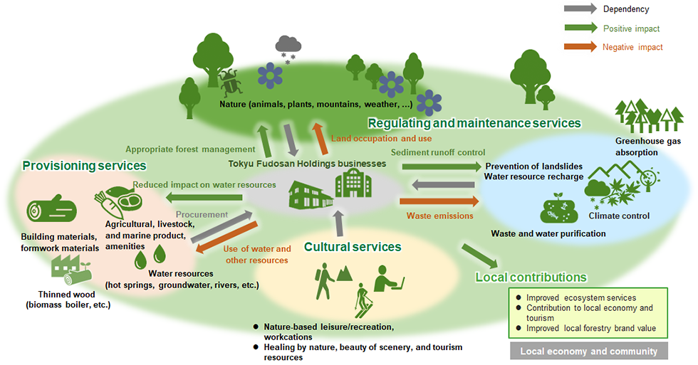 a figure showing that business at “Tokyu Resort Town Tateshina” has various nature and ecosystem service dependencies