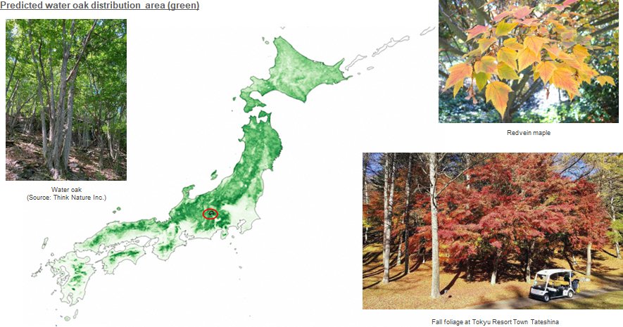 predicted water oak distribution area (green)