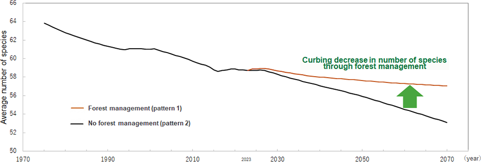 A line graph showing the changes in number of species. The forest management curbes the decrease in the number of species