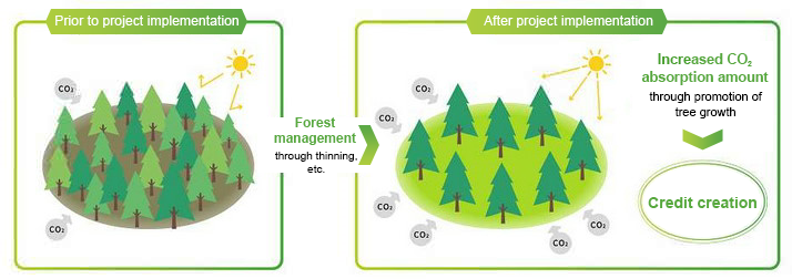 Illustration of credit creation based on forest management activities