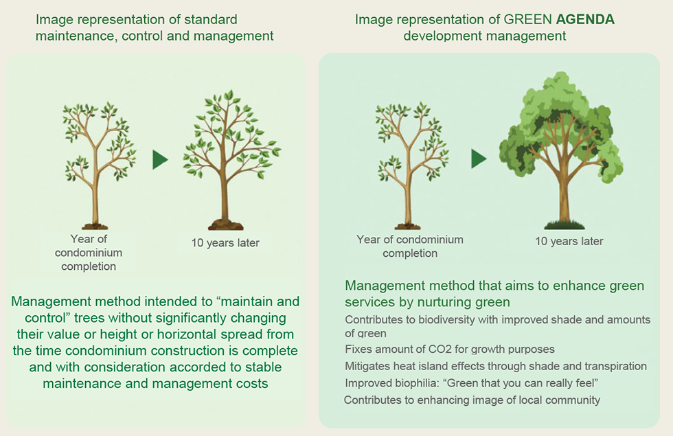 Image representation of GREEN AGENDA development management