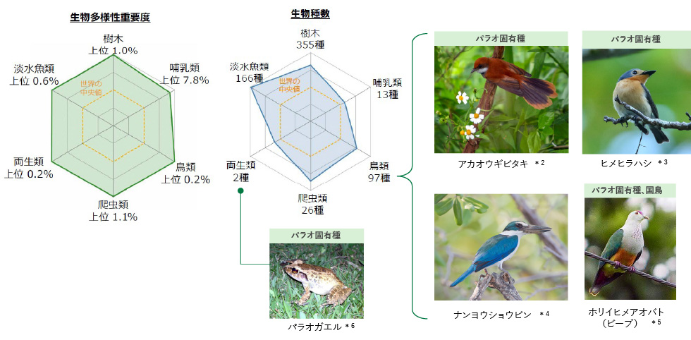 パラオにおける生物多様性の重要度と生物種数を示した図。左側は生物多様性重要度を示すレーダーチャートで、樹木、哺乳類、鳥類、爬虫類、両生類、淡水魚類の各分類について、世界における上位割合が示されている。中央は生物種数のレーダーチャートで、樹木355種、鳥類97種、淡水魚類166種などの内訳が示され、世界の中央値との比較が描かれている。右側にはパラオ固有種およびパラオ固有種・固有鳥の写真が配置され、アカオオギビタキ、ヒメヒラハシ、ナンヨウショウビン、ホリイヒメアオバト、パラオガエルなど、代表的な生物が紹介されている。
