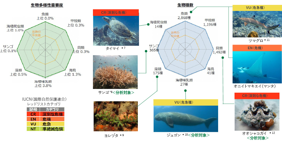 パラオにおける生物多様性の重要度と生物種数を示した図。左側は生物多様性重要度を示すレーダーチャートで、樹木、哺乳類、鳥類、爬虫類、両生類、淡水魚類の各分類について、世界における上位割合が示されている。中央は生物種数のレーダーチャートで、樹木355種、鳥類97種、淡水魚類166種などの内訳が示され、世界の中央値との比較が描かれている。右側にはパラオ固有種およびパラオ固有種・固有鳥の写真が配置され、アカオオギビタキ、ヒメヒラハシ、ナンヨウショウビン、ホリイヒメアオバト、パラオガエルなど、代表的な生物が紹介されている。