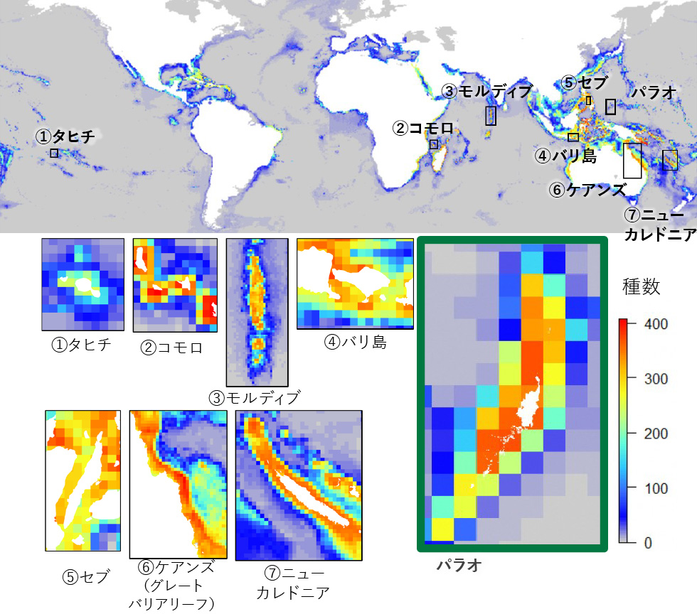世界各地の海洋リゾート周辺におけるサンゴ礁の種数分布を示した評価図。上段は世界地図上にタヒチ、コモロ、モルディブ、バリ島、セブ、ケアンズ、ニューカレドニア、パラオの位置を示し、色の濃淡でサンゴ種数を表している。下段には各地域の拡大図が配置され、パラオは高い種数を示す色が広く分布しており、世界的に見てもサンゴ礁の生物多様性が非常に高い海域であることが分かる。