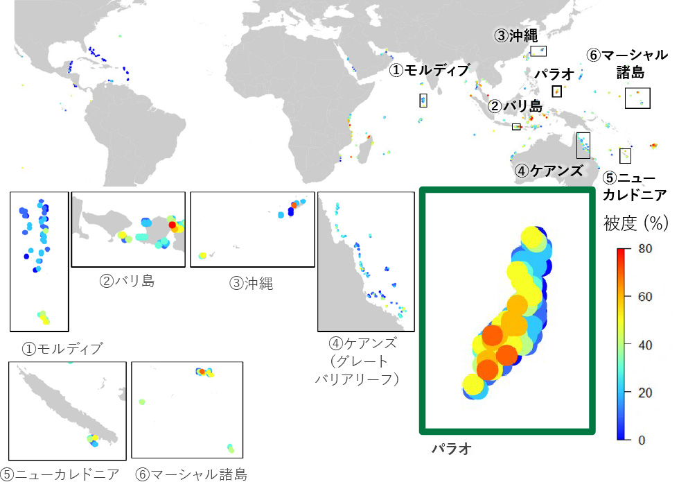 世界各地の海洋リゾート周辺におけるサンゴ被度を表した地図。上段は世界地図上に、モルディブ、バリ島、沖縄、ケアンズ、ニューカレドニア、マーシャル諸島、パラオなどの位置を示し、色付きの点でサンゴ被度を表している。下段には各地域の拡大図が配置され、右側ではパラオが強調表示されている。色は被度（％）を示し、暖色ほど被度が高いことを表す。パラオでは高い被度の地点が多く分布していることが分かる。