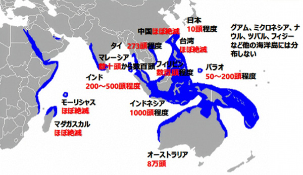 ジュゴンの生息地分布を示した世界地図。青色で示された海域が主な生息域で、インド洋から東南アジア、西太平洋にかけて分布している。各地域ごとに推定個体数や絶滅危惧の状況が注記され、日本や中国、東南アジアの一部では個体数が少なく、パラオ周辺では約50から200頭程度が生息していることが示されている。