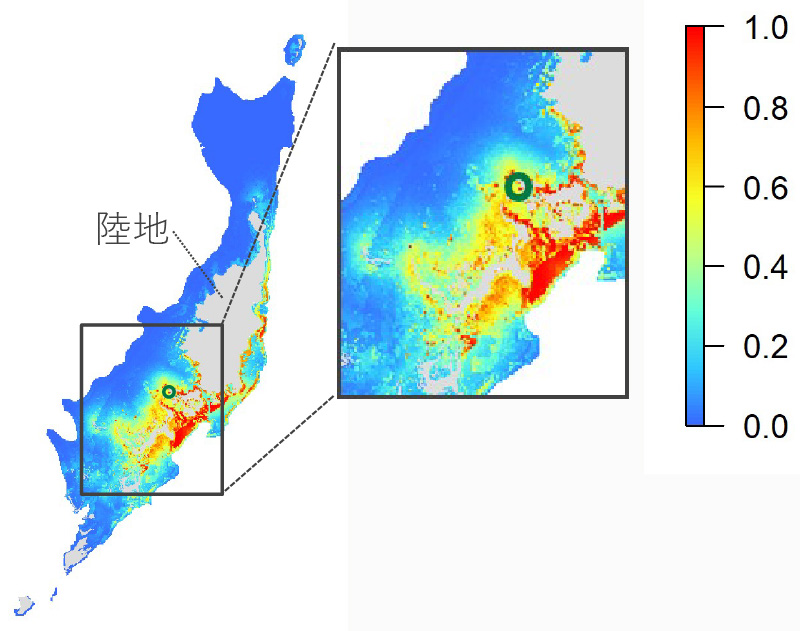 2024年時点のジュゴンの生息適地適性度を示した地図。左は広域の沿岸海域を示し、右は対象海域を拡大表示している。色は生息適性度を表し、青は低く、緑から黄色、赤へと進むにつれて適性度が高いことを示す。陸地と海域の位置関係が示され、沿岸部に高い適性度の海草藻場が分布している様子が分かる。