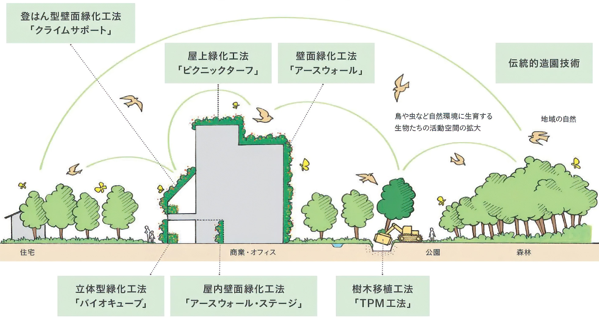 建物緑化の工法などを表したイラスト