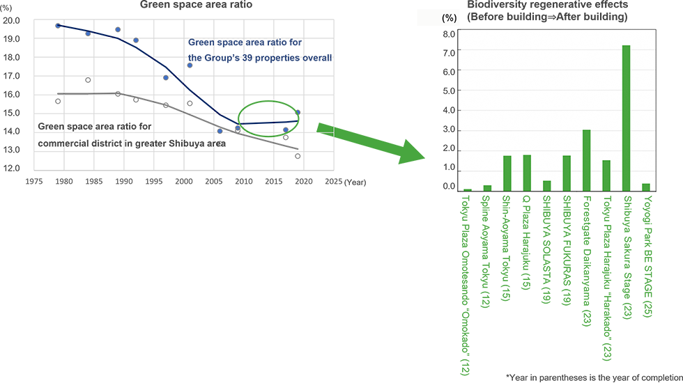 The left chart shows trends in the 'green space area ratio' from around 1975 to 2020, comparing the commercial district in the greater Shibuya area with the Group’s 39 properties overall. While both show a long-term decline, the overall ratio for the 39 properties levels off and shows signs of improvement in recent years. The right bar chart illustrates 'biodiversity regenerative effects' comparing before and after building, with increases shown for individual facilities such as Tokyu Plaza Omotesando Omokado, Shibuya Sakura Stage, and Yoyogi Park BE STAGE.