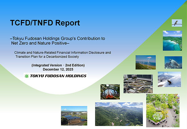 the cover of report