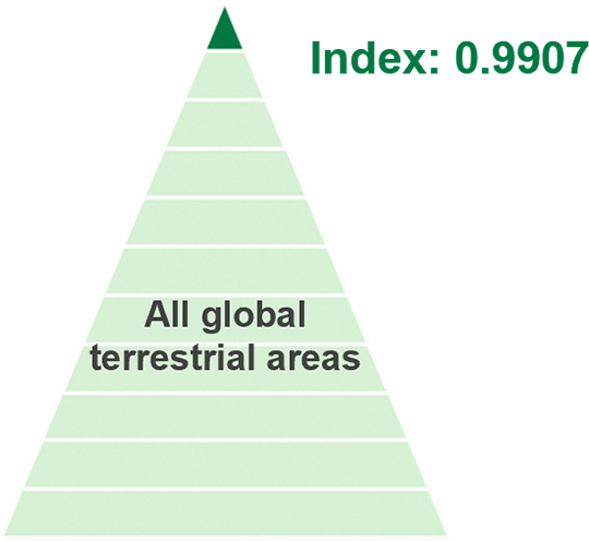 A pyramid diagram showing the relative position within all global terrestrial areas. The base is labeled 'All global terrestrial areas', and a dark green section near the top indicates a high ranking, accompanied by the value 'Index: 0.9907'. The figure suggests that the target area ranks very high compared with terrestrial areas worldwide.