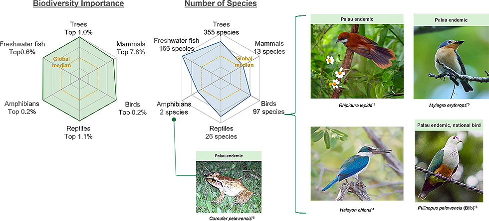A figure illustrating biodiversity importance and number of species in Palau. The left radar chart shows global ranking levels for trees, mammals, birds, reptiles, amphibians, and freshwater fish, indicating top percentile positions such as top 1.0 percent for trees and top 0.2 percent for amphibians. The central radar chart presents species counts, including 355 tree species, 166 freshwater fish species, 97 bird species, 26 reptile species, 13 mammal species, and 2 amphibian species. On the right, photographs of Palau endemic species, including several birds and one amphibian, visually highlight the region’s rich biodiversity.