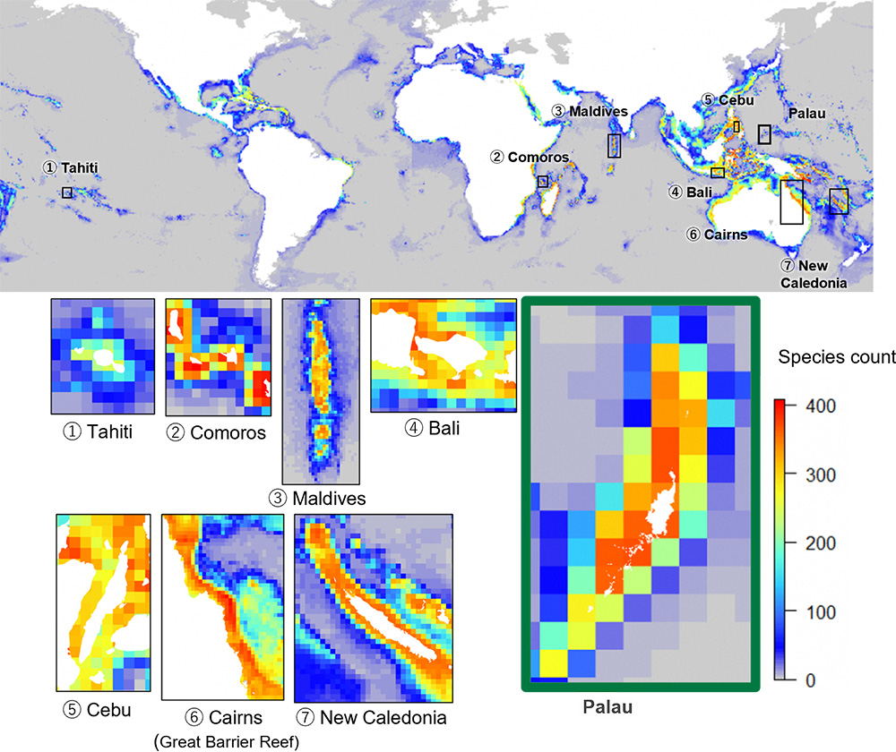 A global heatmap showing the distribution of coral species counts in marine areas, with enlarged comparisons of major marine resort destinations. The top map displays species counts using color gradation from blue (low) to red (high), highlighting locations such as Tahiti, Comoros, Maldives, Bali, Cebu, Cairns, New Caledonia, and Palau. The lower section presents zoomed-in heatmaps for each region, with Palau emphasized in a green frame and showing concentrated high species counts in red and orange. The legend indicates species counts ranging from 0 to over 400.