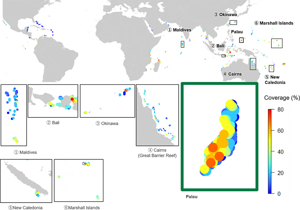 A world map and enlarged views showing coral coverage percentages at major marine resort destinations. The top map displays observation points color-coded from blue (low) to red (high), highlighting locations such as the Maldives, Bali, Okinawa, Cairns (Great Barrier Reef), New Caledonia, the Marshall Islands, and Palau. The lower section presents zoomed-in maps for each region, with Palau emphasized in a green frame. Around Palau, many sites show relatively high coral coverage in yellow to red tones, approximately 60 to 80 percent. The legend indicates coverage values ranging from 0 to 80 percent.