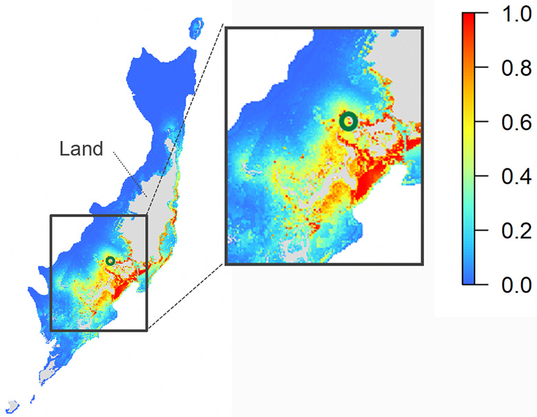 A map comparing habitat suitability for Dugong dugon in 2024. Colors represent a habitat suitability index ranging from 0.0 to 1.0, with blue indicating low suitability and red indicating high suitability. The left panel shows a broad regional distribution, while the right panel provides a zoomed-in view of a coastal area with a highlighted location marked by a circle. High suitability areas in yellow to red are concentrated along shallow coastal waters.