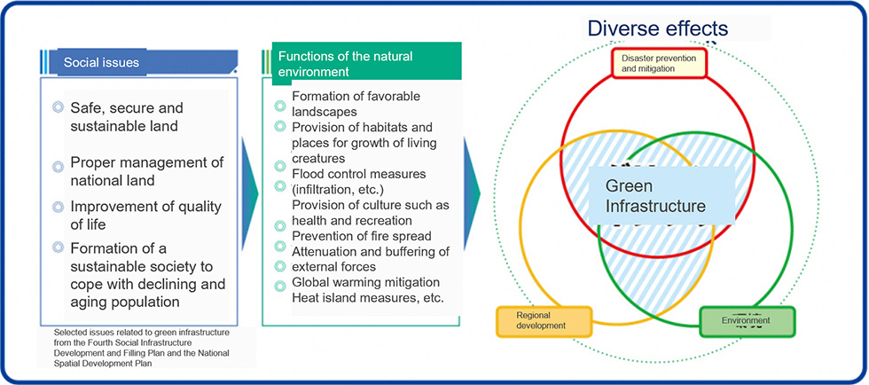 A diagram illustrating how green infrastructure addresses social issues and leverages the functions of nature, showing its positive effects on disaster prevention and mitigation, regional revitalization, and environmental sustainability.
