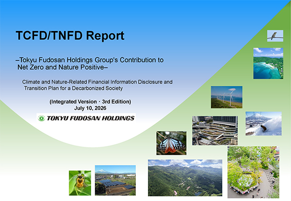 the cover of report