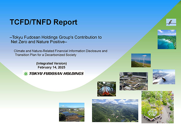 the cover of report