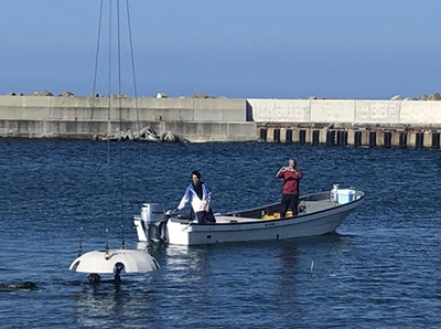 Installation of an artificial reef at sea. A dome-shaped concrete reef unit is being lowered into the water by a crane from a small boat, with workers on board and a breakwater visible in the background.